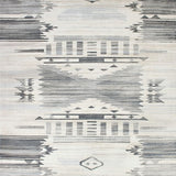 Ultra Soft Area Rug, Non Slip, Stain Resistant, Washable Area Rugs for Living Room, Bedroom, Abstract Grey and Cream Tumble Pattern Rug with Distressed Tribal Motifs(Gray)