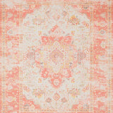 Ultra Soft Area Rug, Non Slip, Stain Resistant, Washable Area Rugs for Living Room, Bedroom, Soft Earthy Tones Aesthetic(Orange)