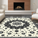 Ultra Soft Area Rug, Non Slip, Stain Resistant, Washable Area Rugs for Living Room, Bedroom, Rustic Textured Tasseled Runner Style(Black)