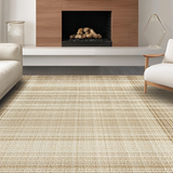 Ultra Soft Area Rug, Non Slip, Stain Resistant, Washable Area Rugs for Living Room, Bedroom, Contemporary Soft Tasseled Appeal(Beige)