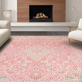 Ultra Soft Area Rug, Non Slip, Stain Resistant, Washable Area Rugs for Living Room, Bedroom, Tranquil Earthy Tone Harmony(Pink)