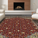 Ultra Soft Area Rug, Non Slip, Stain Resistant, Washable Area Rugs for Living Room, Bedroom, Chic Distressed Patterned Tapestry(Red)