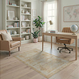 Distressed Vintage Beige Geometric Area Rug