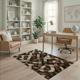 Brown Tan Braided Woven Geometric Area Rug