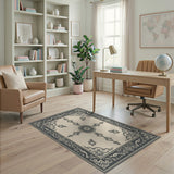 Ornate Beige Persian Area Rug with Grey Borders