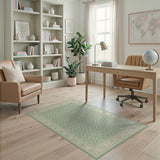 Sage Green Traditional Persian Area Rug
