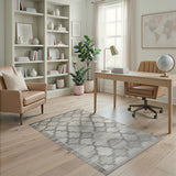 Neutral Grey Trellis Geometric Area Rug