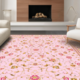 Ultra Soft Area Rug, Non Slip, Stain Resistant, Washable Area Rugs for Living Room, Bedroom, Pastel Soft Textured Medallion Style(Pink)