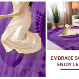 Ultra Soft Area Rug, Non Slip, Stain Resistant, Washable Area Rugs for Living Room, Bedroom, Trendy Fuzzy Ombre Style(Purple)