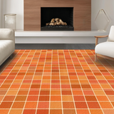 Ultra Soft Area Rug, Non Slip, Stain Resistant, Washable Area Rugs for Living Room, Bedroom, Textured Contemporary Rustic Charm(Orange)