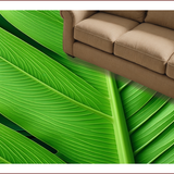 Ultra Soft Area Rug, Non Slip, Stain Resistant, Washable Area Rugs for Living Room, Bedroom, Tropical Leaf Velvet Runner(Green)