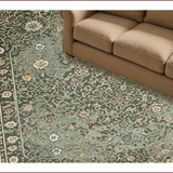 Ultra Soft Area Rug, Non Slip, Stain Resistant, Washable Area Rugs for Living Room, Bedroom, Distressed Dark Green Living Room Boho Rug(Gray)