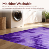 Ultra Soft Area Rug, Non Slip, Stain Resistant, Washable Area Rugs for Living Room, Bedroom, Funky Playful Gradient Design(Purple)