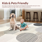 Ultra Soft Area Rug, Non Slip, Stain Resistant, Washable Area Rugs for Living Room, Bedroom, Elegant Plush Abstract Touch(Gray)