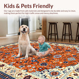 Ultra Soft Area Rug, Non Slip, Stain Resistant, Washable Area Rugs for Living Room, Bedroom, Whimsical Orange and Blue Palette(Orange)