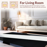 Ultra Soft Area Rug, Non Slip, Stain Resistant, Washable Area Rugs for Living Room, Bedroom, Modern Striking Monochrome Design(Black)