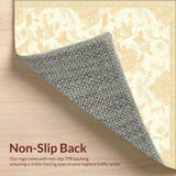 Beige Damask Inspired Area with Fluid Scroll and Hues(Beige)