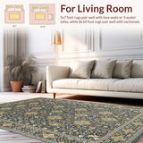 Ultra Soft Area Rug, Non Slip, Stain Resistant, Washable Area Rugs for Living Room, Bedroom, Elegant Floral Patterned Motif(Gray)