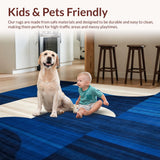 Ultra Soft Area Rug, Non Slip, Stain Resistant, Washable Area Rugs for Living Room, Bedroom, Contemporary Woven Area(Blue)