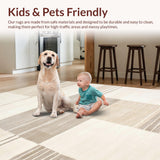 Ultra Soft Area Rug, Non Slip, Stain Resistant, Washable Area Rugs for Living Room, Bedroom, Elegant Neutral Abstract Motif(Beige)