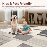 Ultra Soft Area Rug, Non Slip, Stain Resistant, Washable Area Rugs for Living Room, Bedroom, Medium Pile Neutral Area(Gray)