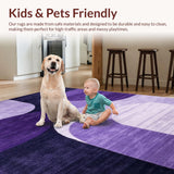 Ultra Soft Area Rug, Non Slip, Stain Resistant, Washable Area Rugs for Living Room, Bedroom, Minimalist Plush Fur Decorative Touch(Purple)