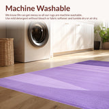 Ultra Soft Area Rug, Non Slip, Stain Resistant, Washable Area Rugs for Living Room, Bedroom, Elegant Shaggy Contemporary Look(Purple)