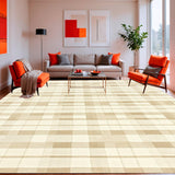 Adelaide Checkered Shag Area Mid Century Modern Beige Geometric(Beige)