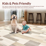 Ultra Soft Area Rug, Non Slip, Stain Resistant, Washable Area Rugs for Living Room, Bedroom, Serene Beige Entryway Abstract Geometric Design for Home(Beige)