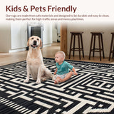 Vibrant Abstract Zebra Motif(Black)