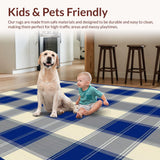 Ultra Soft Area Rug, Non Slip, Stain Resistant, Washable Area Rugs for Living Room, Bedroom, Rustic Gray Diamond Motif(Beige)