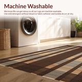 Ultra Soft Area Rug, Non Slip, Stain Resistant, Washable Area Rugs for Living Room, Bedroom, Sleek Modern Zebra Motif(Brown)