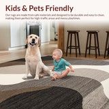 Ultra Soft Area Rug, Non Slip, Stain Resistant, Washable Area Rugs for Living Room, Bedroom, Sophisticated Neutral Abstract Aesthetic(Beige)