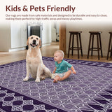Ultra Soft Area Rug, Non Slip, Stain Resistant, Washable Area Rugs for Living Room, Bedroom, Vibrant Diamond Grid Aesthetic(Purple)