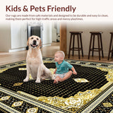 Ultra Soft Area Rug, Non Slip, Stain Resistant, Washable Area Rugs for Living Room, Bedroom, Elegant Black Floral Symphony(Black)
