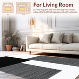 Ultra Soft Area Rug, Non Slip, Stain Resistant, Washable Area Rugs for Living Room, Bedroom, Refined Rustic Abstract Composition(Black)