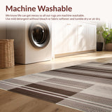 Ultra Soft Area Rug, Non Slip, Stain Resistant, Washable Area Rugs for Living Room, Bedroom, Trendy Minimalist Grid Arrangement(Brown)