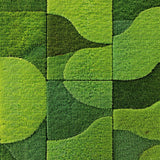 Ultra Soft Area Rug, Non Slip, Stain Resistant, Washable Area Rugs for Living Room, Bedroom, Fluffy Non-Slip Bedroom Rug for Minimal Living(Green)