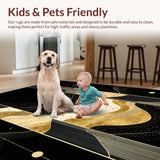 Ultra Soft Area Rug, Non Slip, Stain Resistant, Washable Area Rugs for Living Room, Bedroom, Sleek Contemporary Gold Accented Lines(Black)