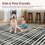 Ultra Soft Area Rug, Non Slip, Stain Resistant, Washable Area Rugs for Living Room, Bedroom, Graphic Stripe Rug with Interlocking Band Motifs and Fine Lines(Gray)