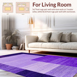 Ultra Soft Area Rug, Non Slip, Stain Resistant, Washable Area Rugs for Living Room, Bedroom, Chic Purple Shaggy Artistry(Purple)