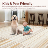 Ultra Soft Area Rug, Non Slip, Stain Resistant, Washable Area Rugs for Living Room, Bedroom, Rustic Textured Woven Aesthetic(Beige)