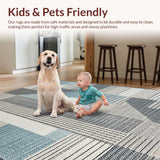 Ultra Soft Area Rug, Non Slip, Stain Resistant, Washable Area Rugs for Living Room, Bedroom, Sleek Contemporary Abstract Elements(Gray)