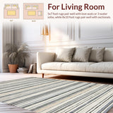 Ultra Soft Area Rug, Non Slip, Stain Resistant, Washable Area Rugs for Living Room, Bedroom, Vibrant Abstract Stripe Fusion(Gray)