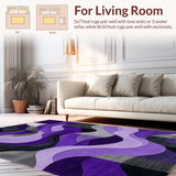 Ultra Soft Area Rug, Non Slip, Stain Resistant, Washable Area Rugs for Living Room, Bedroom, Contemporary Luxurious Shag Design(Purple)