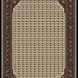Ultra Soft Area Rug, Non Slip, Stain Resistant, Washable Area Rugs for Living Room, Bedroom, Lively Modern Floral Fusion(White)