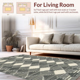 Ultra Soft Area Rug, Non Slip, Stain Resistant, Washable Area Rugs for Living Room, Bedroom, Minimalist Neutral Geometric Texture(Beige)