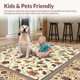 Ultra Soft Area Rug, Non Slip, Stain Resistant, Washable Area Rugs for Living Room, Bedroom, Intricate Floral Beige Area with Elegant Terracotta Accents(Beige)