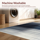 Ultra Soft Area Rug, Non Slip, Stain Resistant, Washable Area Rugs for Living Room, Bedroom, Shadow Stripe: Woven Accent Carpet, Subtle Pattern Design(Black)