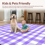 Ultra Soft Area Rug, Non Slip, Stain Resistant, Washable Area Rugs for Living Room, Bedroom, Lively Abstract Lattice Color Fusion(Purple)